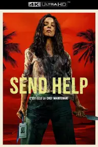 Affiche 8 de Send Help