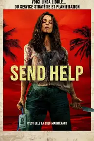 Affiche 6 de Send Help