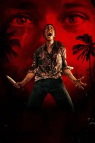 Affiche du film Send Help