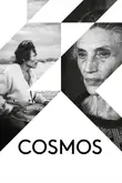 Cosmos