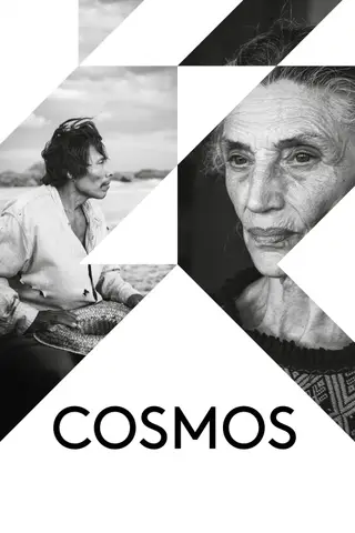Cosmos
