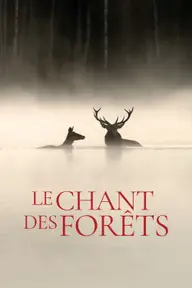 Affiche 7 de Le Chant des forêts