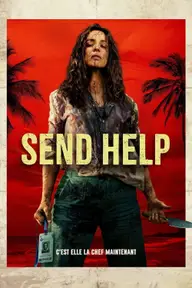 Affiche 5 de Send Help