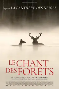 Affiche du film Le Chant des forêts