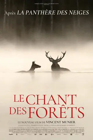 Affiche du film Le Chant des forêts